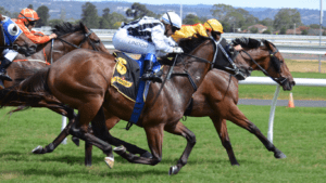 image of a horse racing