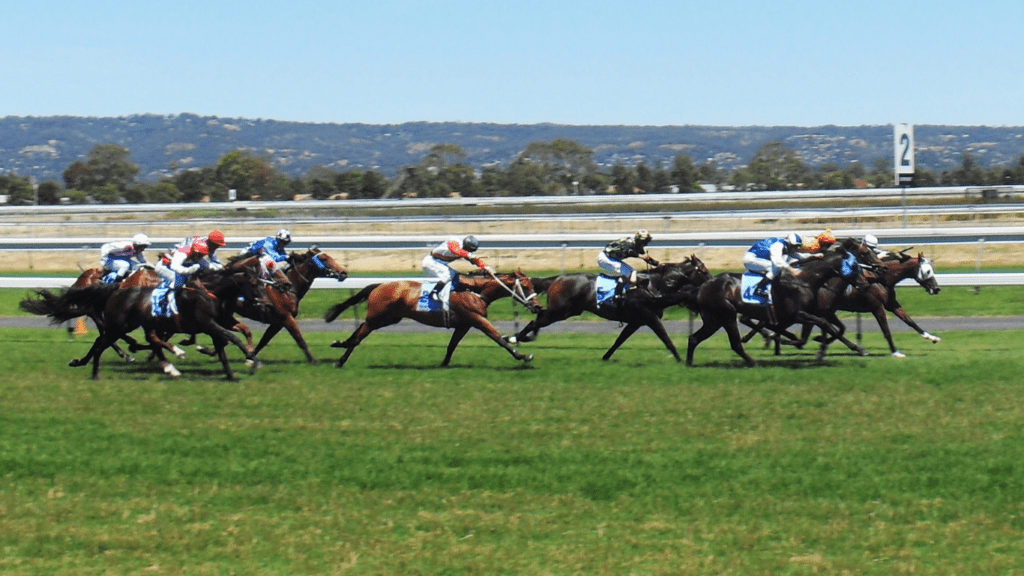 a group of jockeys on horses racing down the track