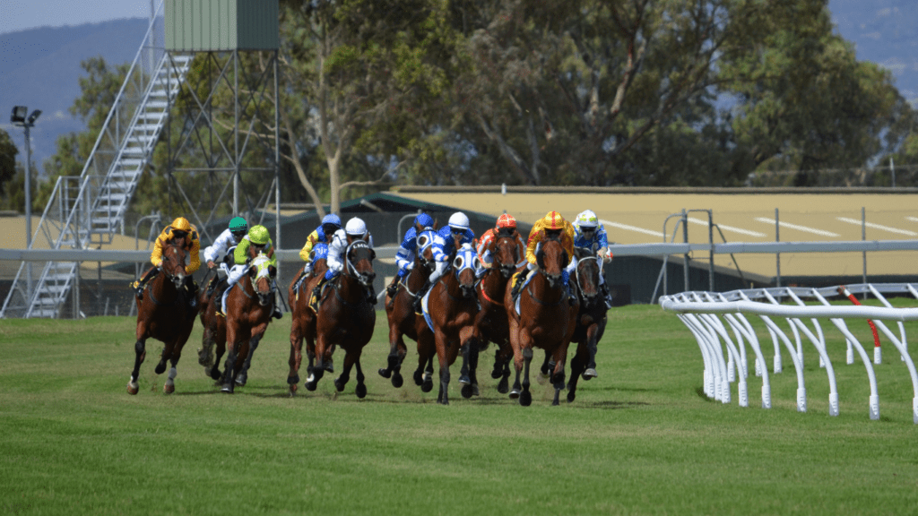 a group of jockeys on horses racing down the track