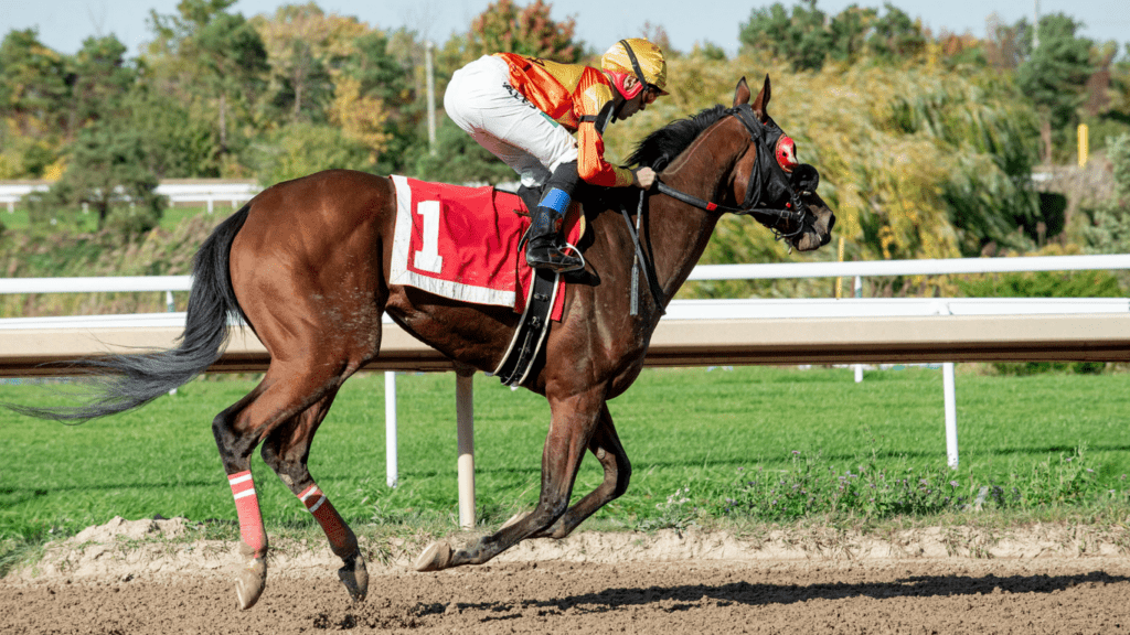 a jockey on a horse racing down the track