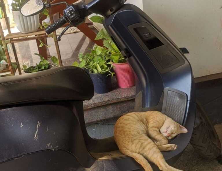 download grandiamod1.2 pc