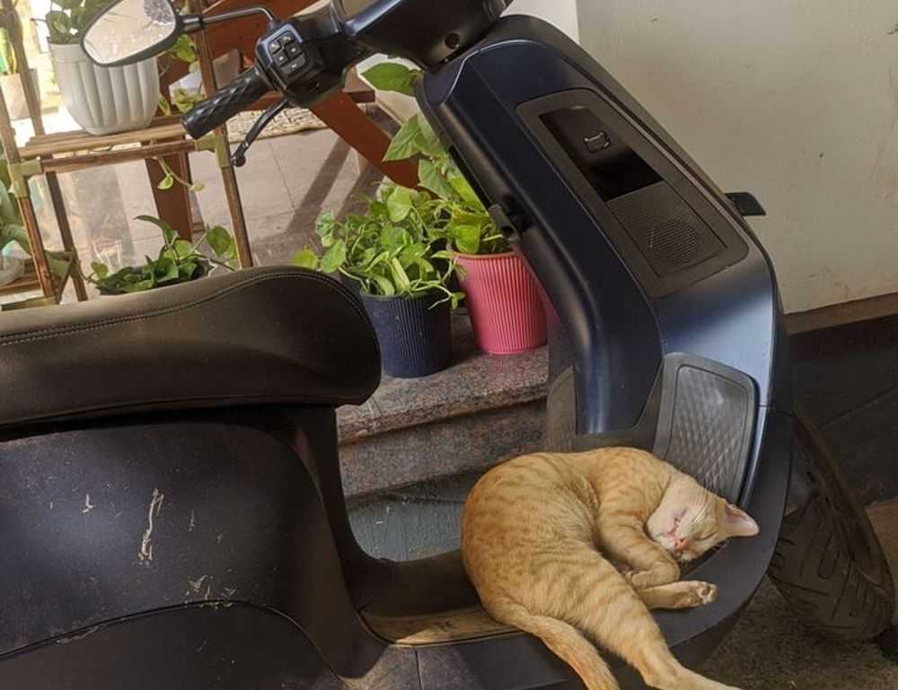 download grandiamod1.2 pc