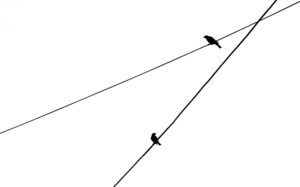 line movement analysis