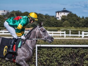 sports betting trends 2026