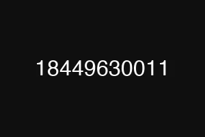 18449630011