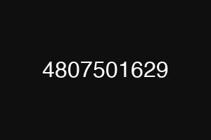 4807501629