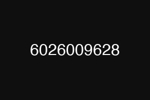 6026009628