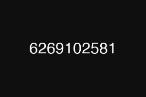 6269102581