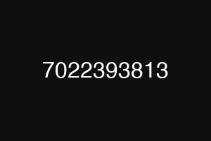 7022393813