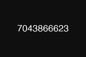 7043866623