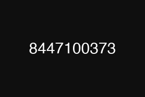 8447100373