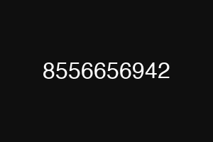 8556656942