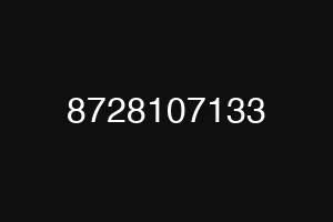 8728107133