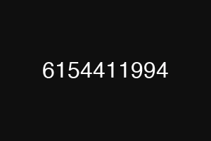 6154411994