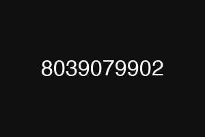 8039079902