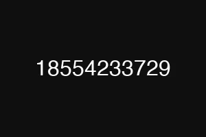 18554233729