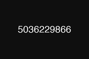 5036229866