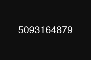 5093164879