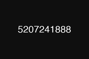 5207241888