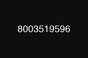 8003519596