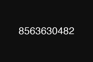 8563630482