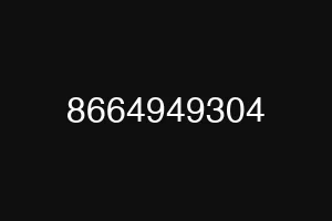 8664949304