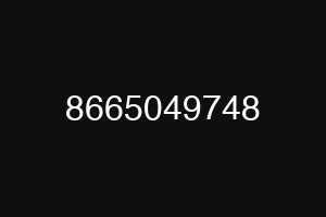 8665049748