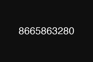 8665863280