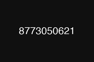 8773050621
