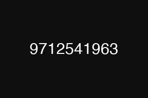 9712541963